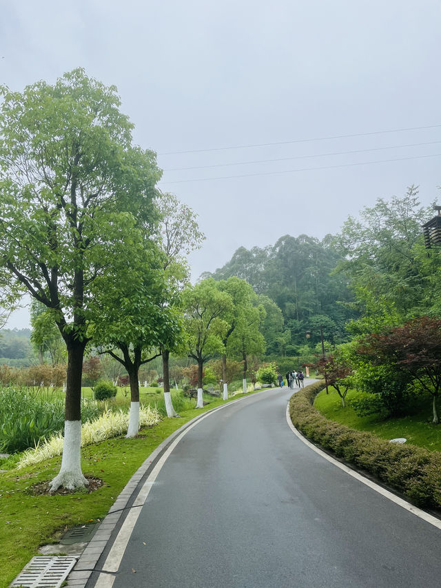 雨後紅雀碗  一幅水墨畫