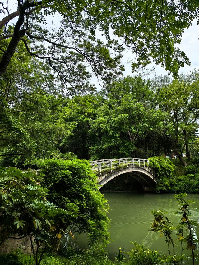 瘦西湖，景色宜人