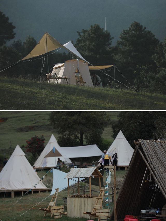 不用去新疆，雲南有自己的高山牧場