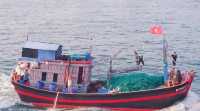 越南海島，夏季漁村之旅