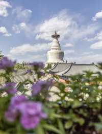 五一北京城市漫步·打卡超美的寶藏胡同