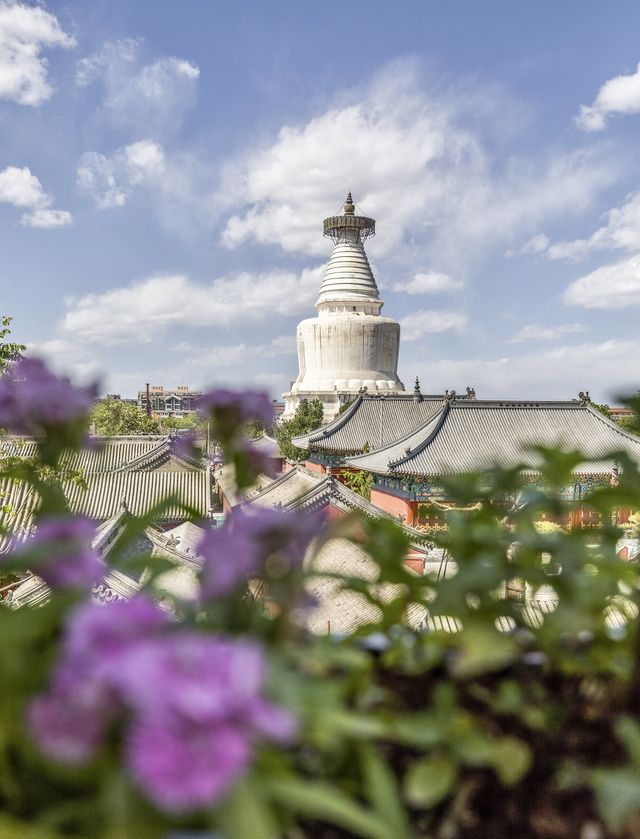 五一北京城市漫步·打卡超美的寶藏胡同