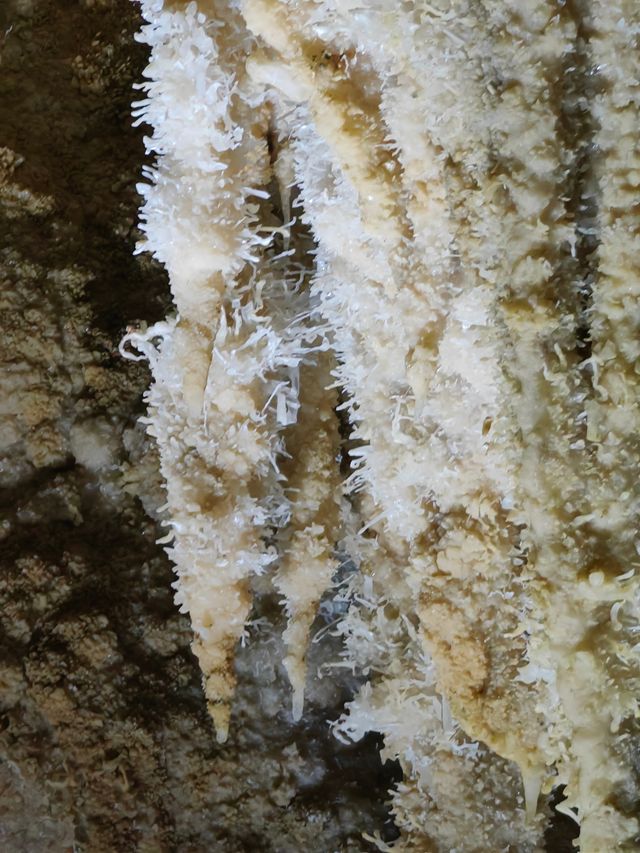 洞內生花一一廣西巴馬水晶宮
