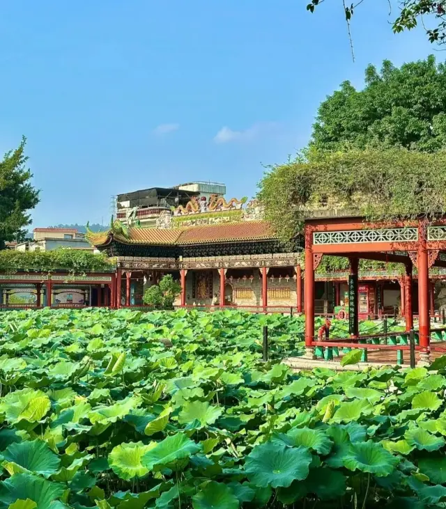 The scenery of Bao Mo Garden is so beautiful that it's a pity I only found out about it now!