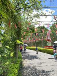 廣西遛娃打卡勝地 · 平南雄森動物大世界
