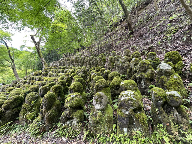 京都夏季苔綠之行