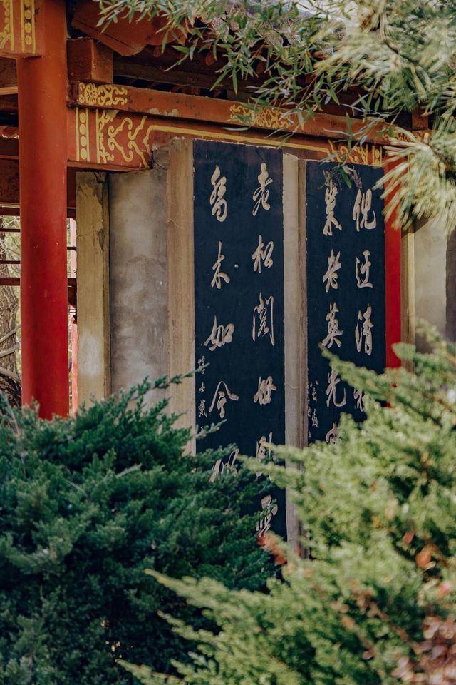 山西·太原|碑林公園打卡