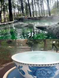 泡湯好去處～金方森林溫泉