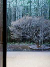 🌸 Kyoto's Chic Sleep Spots: The Thousand Kyoto 🏨