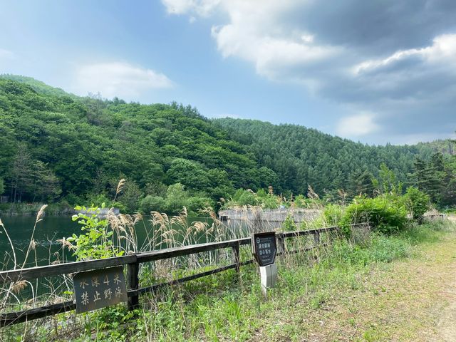 奇景如畫，猴石探秘—撫順猴石國家森林公園旅遊攻略