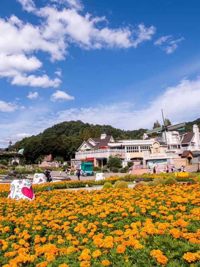 🌟 Seoul's Top Spots: Culture, Thrills & Views! 🏯🎢🌆