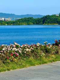 湖濱廣場(興隆湖)