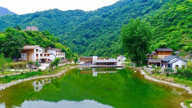 康養青山