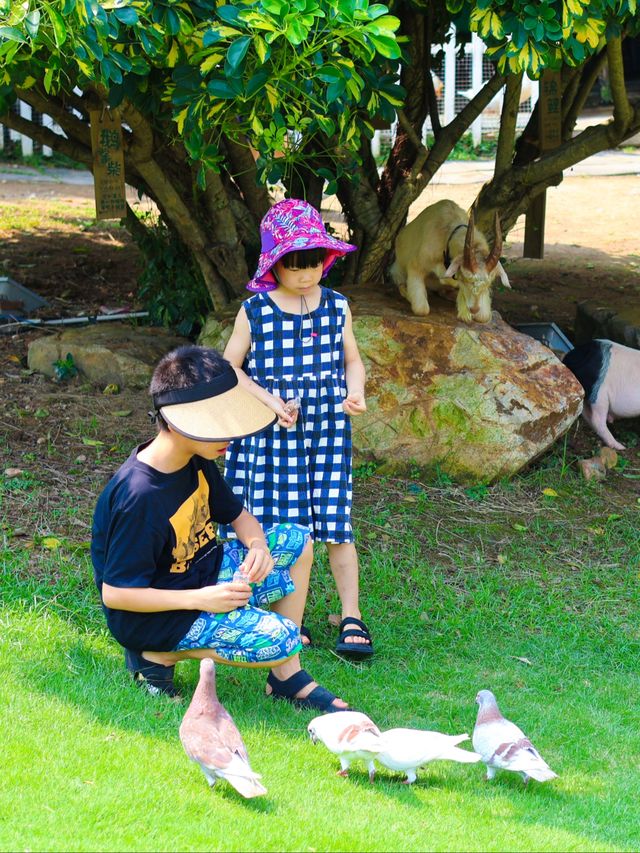 江浙滘一帶嘅海邊渡假好去處，帶小朋友玩都唔使太費勁。