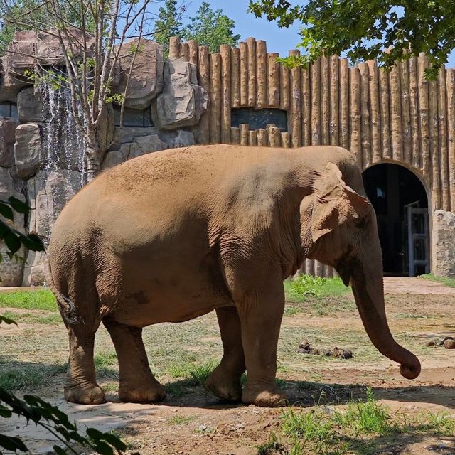 濟南野生動物世界｜與大自然的奇妙約會。