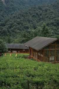 景點推薦打卡：姑婆山。