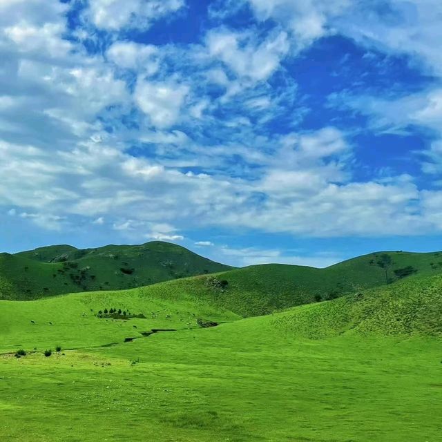 烏拉蓋草原：自然美景与蒙古族文化的完美融合