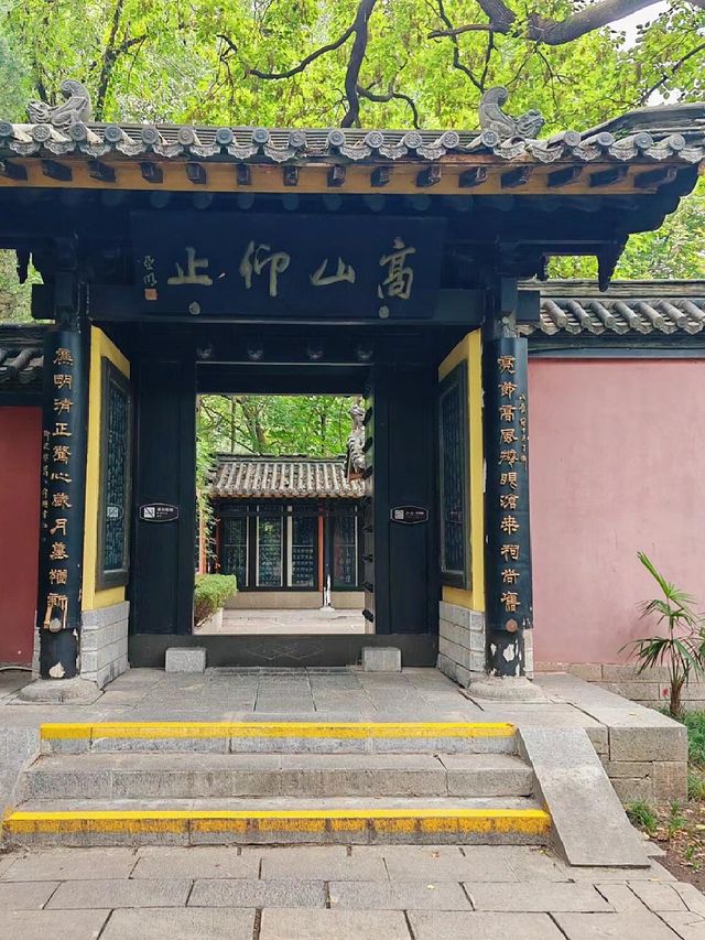 安徽合肥｜逛完江浙滬之後最想去的城市。