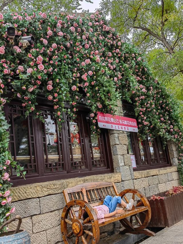 天上王城。