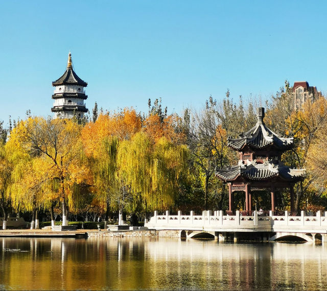 天津最大公園：寧園（初秋好去處）。