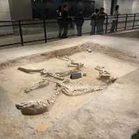 Tianzi Jialiu Museum in Luoyang - Eastern Zhou Royal Horse and Chariot Pits