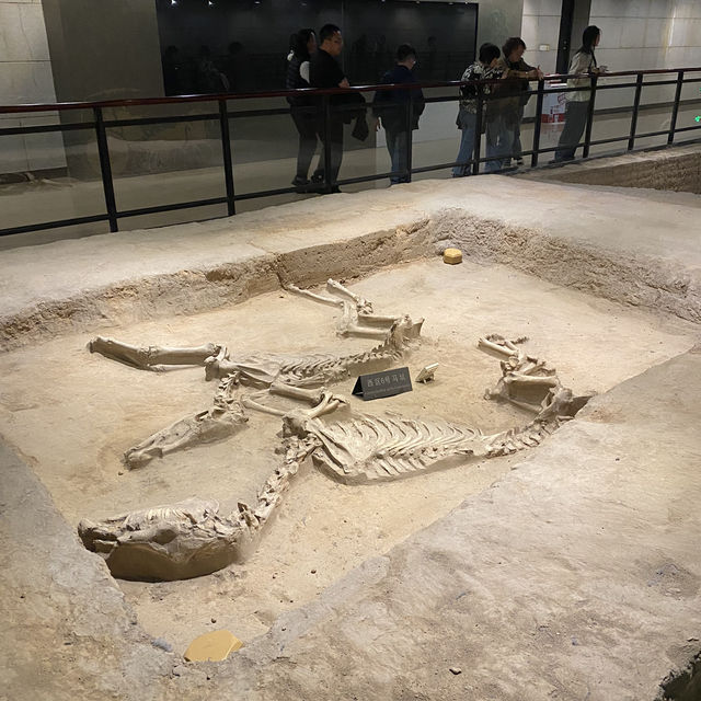 Tianzi Jialiu Museum in Luoyang - Eastern Zhou Royal Horse and Chariot Pits