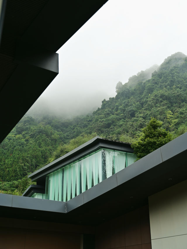 在峨眉山！金頂對面的寶藏私湯民宿！。