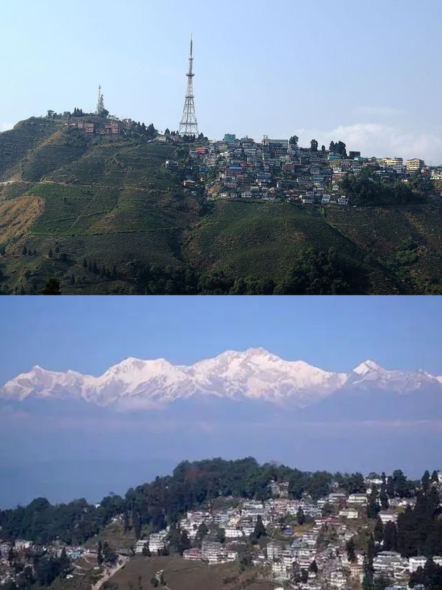 【大吉嶺兩日遊，茶香四溢的奇幻之旅】。