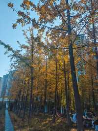 西安雁南公園：歷史遺跡上的城市綠心。