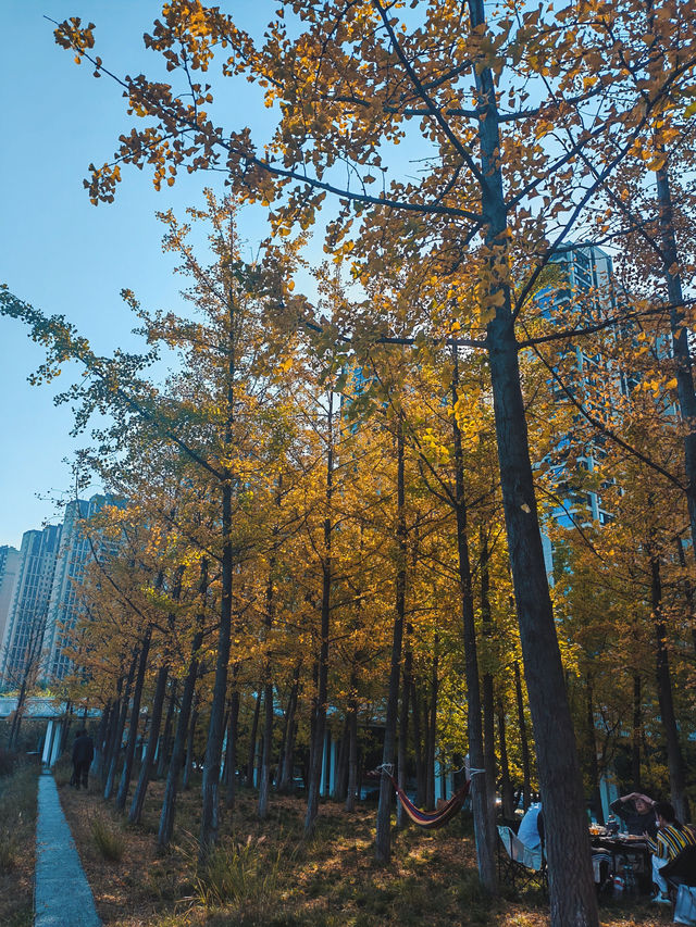 西安雁南公園：歷史遺跡上的城市綠心。