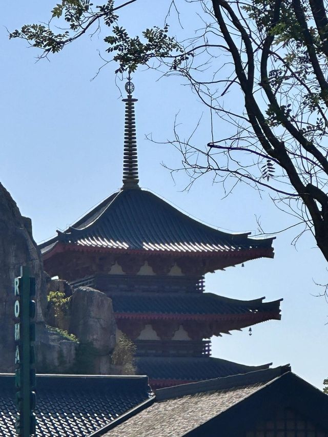 西安世博園|遛娃的好去處。