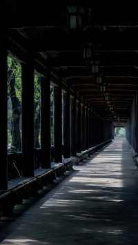 東莞嶺南園林道滘鎮粵暉園。