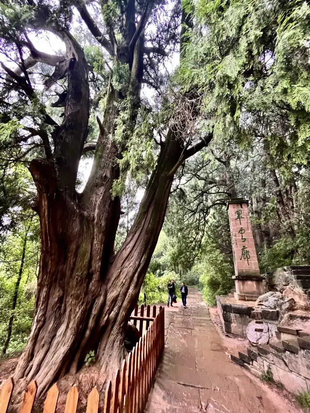 취운랑.