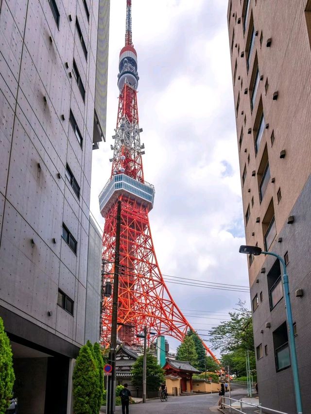 Tokyo Tower City Walk route!! Travellog ❤️‍🔥❤️