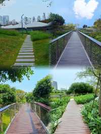 前海桂灣公園：城市中的自然童話。