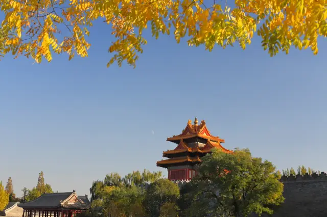 북풍이 오기 전, 베이징의 가장 아름다운 시간을 즐겨보세요.