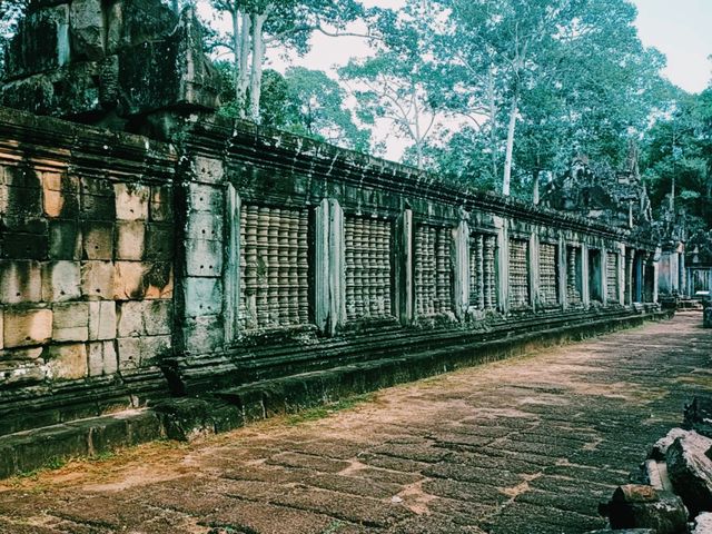 Ta Keo: Miraculous Mirage in A Jungle