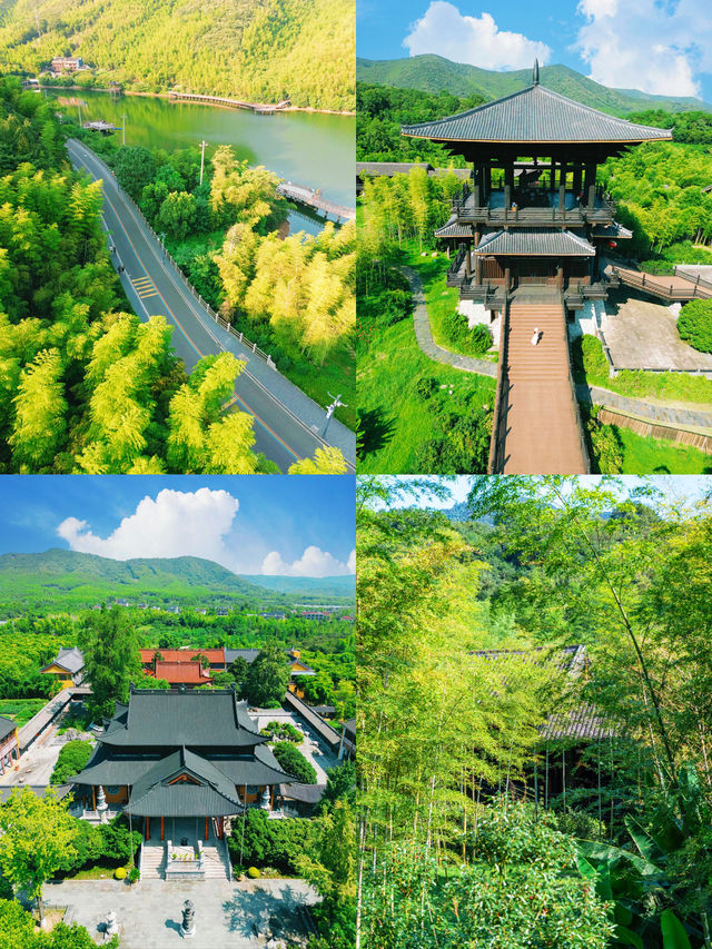 浙江長興  深山裡的避世仙境 大唐貢茶院。
