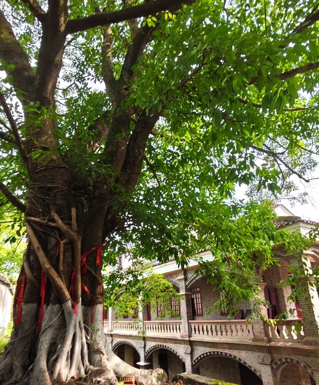 重慶有座舉人樓,中西合璧大宅風華。 重慶有座舉人樓,中西合璧大宅風華。