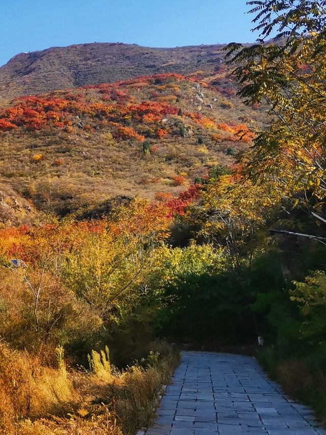 舞彩淺山已封山，別白跑啦。