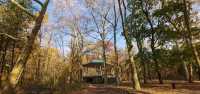 Autumn in a fairy tale! New York · Prospect Park!! 