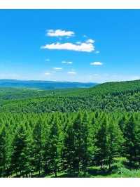 3天玩遍木蘭圍場-烏蘭布統草原 超詳細攻略來襲。