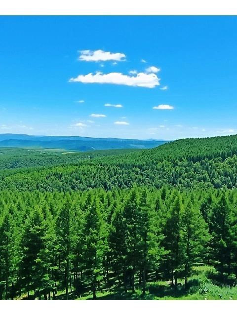 3天玩遍木蘭圍場-烏蘭布統草原 超詳細攻略來襲。