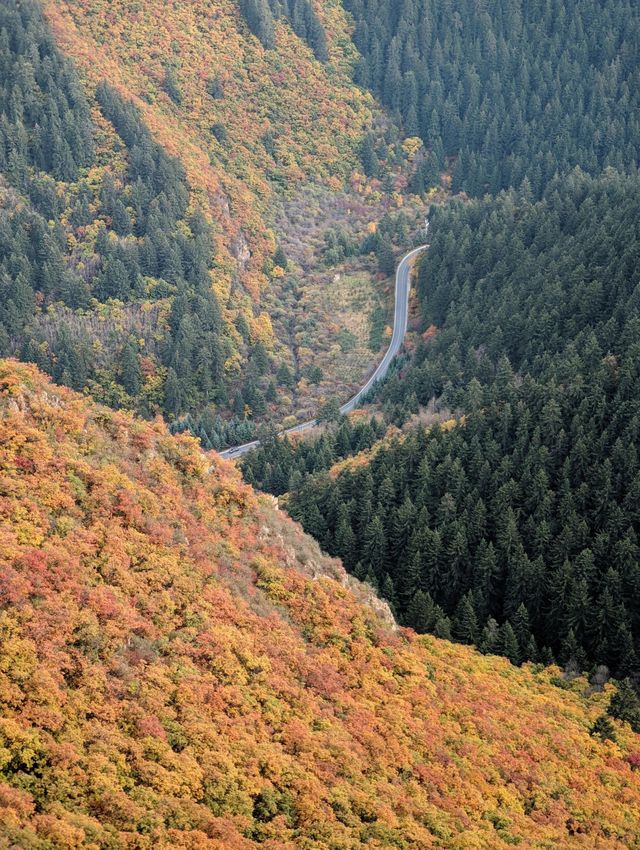 隴右名山蘭州興隆山 | 邂逅醉美秋色。