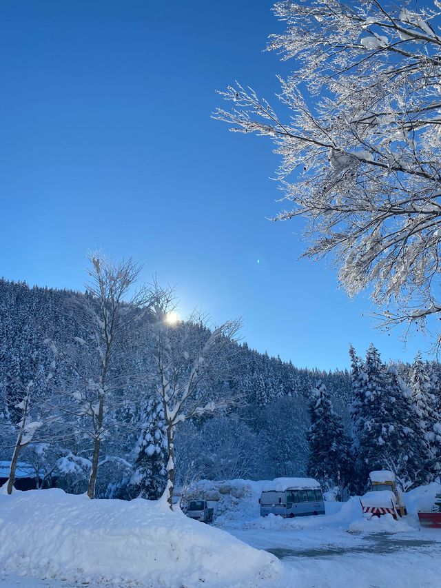 秋田｜深山雪景小木屋！！我入住體驗。