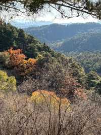 木蘭圍場-烏蘭布統4日遊 別踩坑看這篇攻略就夠了。