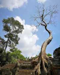 Cambodia's Angkor Wat