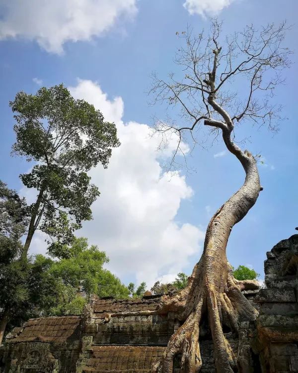 Cambodia's Angkor Wat