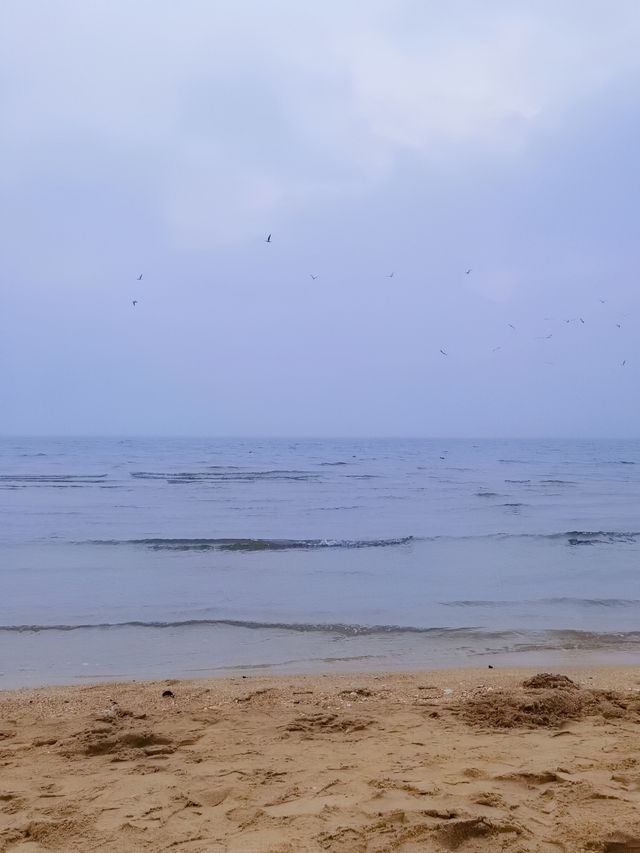 12月從北京出發到秦皇島看一次冰海。