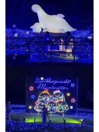 Kanto's Grand Light Show - Sagamiko Illumination